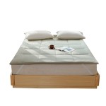 2022 New Type A Cotton Mattress Baby Grade Tea Talk