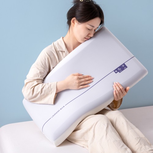 New Atour Planet memory foam pillow core