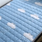 Zhenchang Thin Soft Mattress Mattress Four Seasons Simmons Bed Pad Super Cost-effective